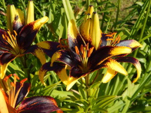 DSCN3277.JPG