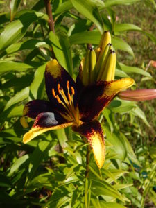 DSCN3278.JPG