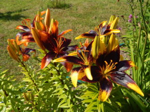 DSCN3383.JPG