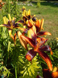 DSCN3385.JPG