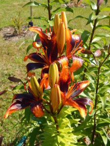 DSCN3389.JPG