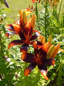 DSCN3390.JPG
