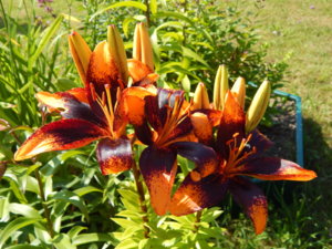 DSCN3391.JPG