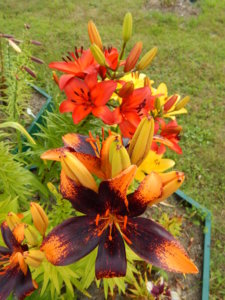 DSCN3551.JPG