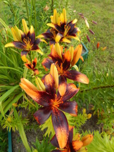 DSCN3552.JPG