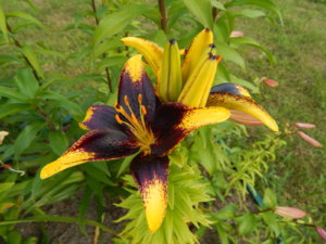DSCN3557.JPG