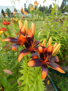 DSCN3558.JPG