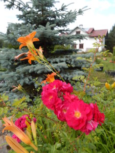 DSCN3587.JPG
