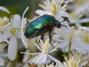 DSCN3258.JPG