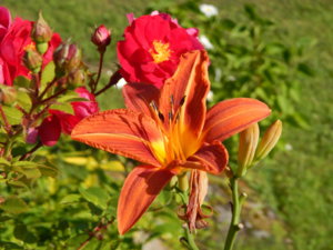 DSCN3296.JPG