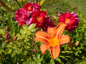 DSCN3427.JPG