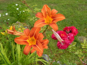 DSCN3588.JPG