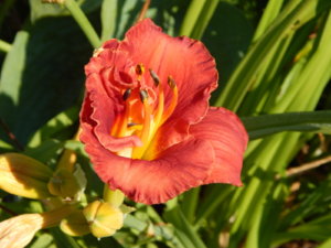 DSCN3235.JPG