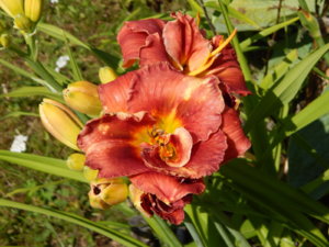 DSCN3341.JPG