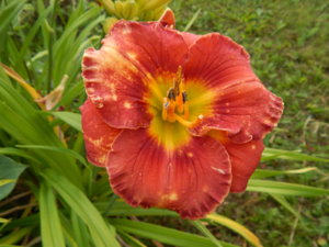 DSCN3530.JPG
