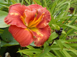 DSCN3531.JPG