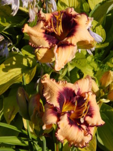 DSCN3236.JPG