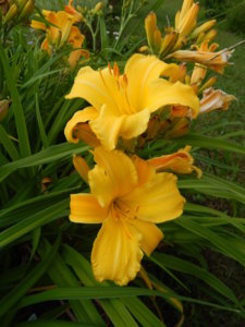 DSCN3528.JPG