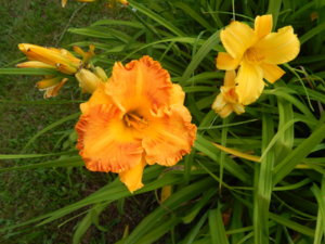 DSCN3529.JPG