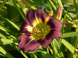 DSCN3237.JPG