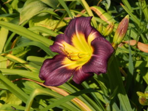 DSCN3343.JPG