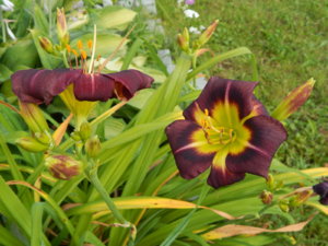 DSCN3541.JPG