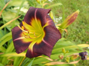 DSCN3542.JPG