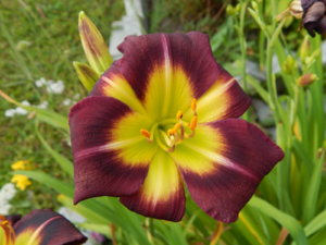 DSCN3543.JPG