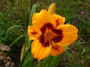 DSCN3547.JPG
