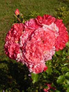 DSCN3298.JPG