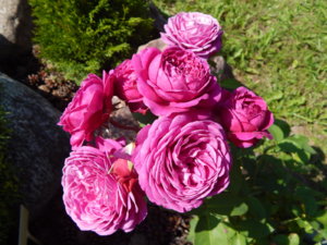 DSCN3319.JPG