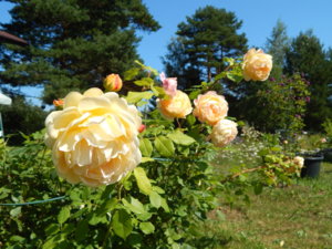 DSCN3320.JPG