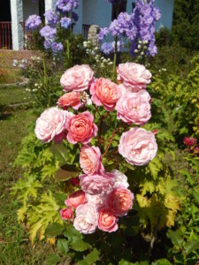 DSCN3358.JPG