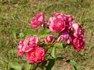 DSCN3373.JPG