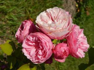 DSCN3430.JPG
