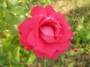 DSCN3546.JPG