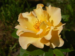 DSCN3474.JPG