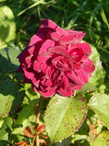 DSCN3308.JPG