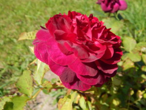 DSCN3443.JPG