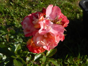 DSCN3231.JPG