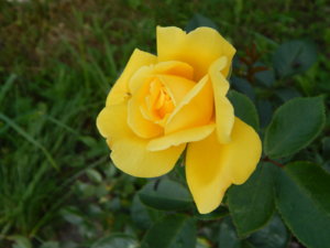 DSCN3626.JPG