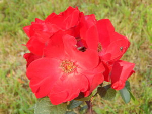 DSCN3549.JPG