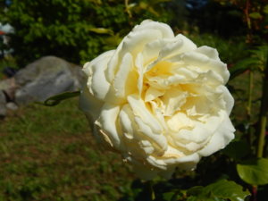 DSCN3328.JPG