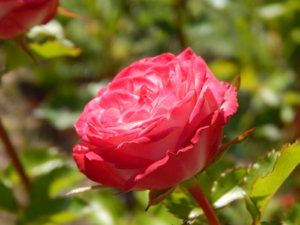 DSCN3361.JPG