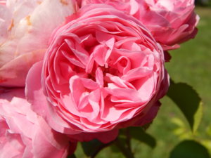 DSCN3431.JPG