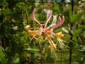 DSCN3621.JPG