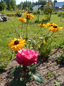 DSCN3495.JPG