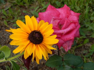DSCN3527.JPG
