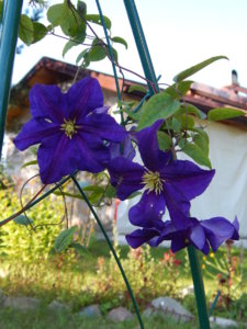DSCN3303.JPG