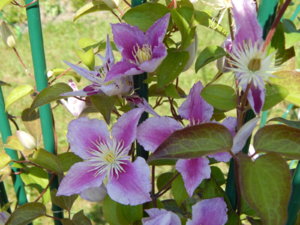 DSCN3331.JPG